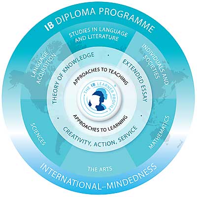 IB Diploma Programme graph
